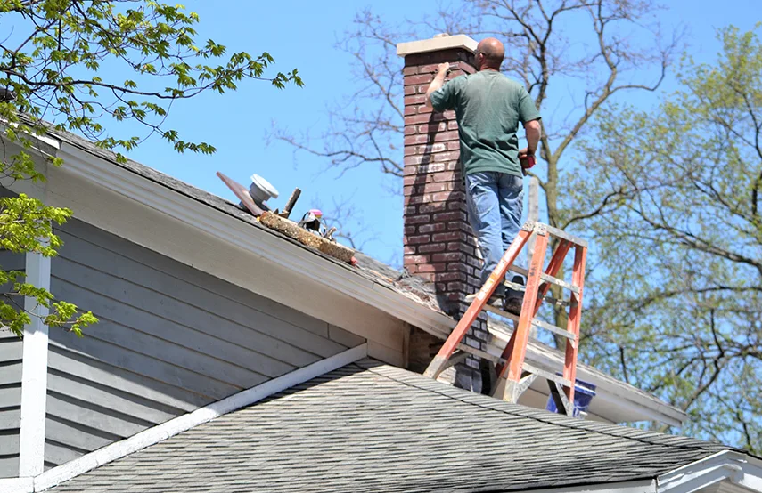 Chimney & Fireplace Inspections Services in Kennesaw, GA